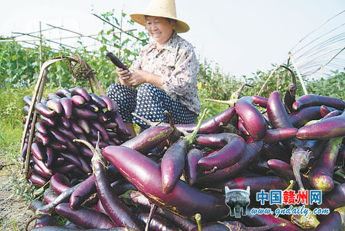 农民伯伯乡下妹_江西农民纯收入(2)