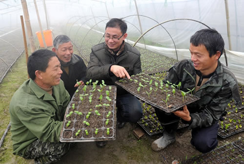 江西各县人口_大雨滂沱,他们把你抱在怀中(2)