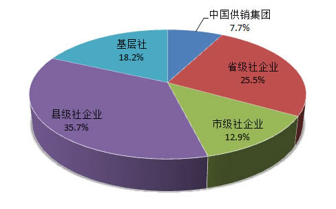 财务支出收入表格模板_营业收入财务分析
