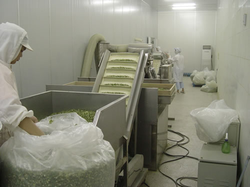 【002】果蔬食品的高品质干燥关键技术研究及应用