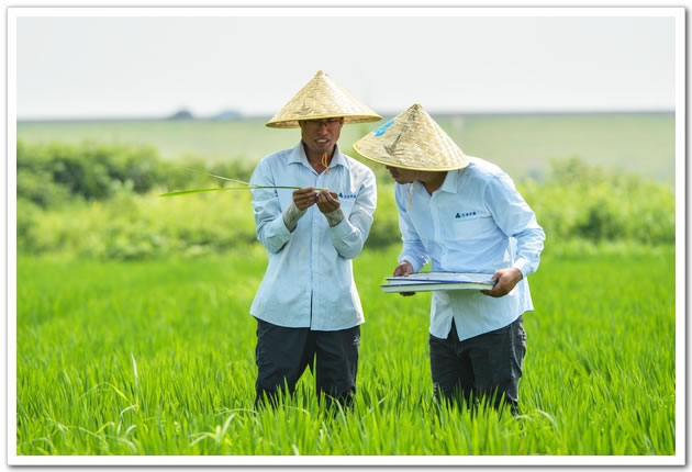 喷药老总_农作物喷药机图片(3)
