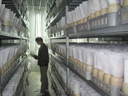 【004】食用菌工厂化高效生产关键技术与装备研究