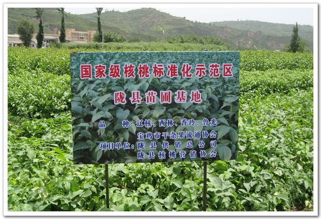 陇县供销合作社