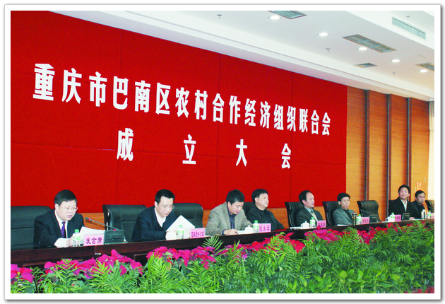 巴南区供销合作社