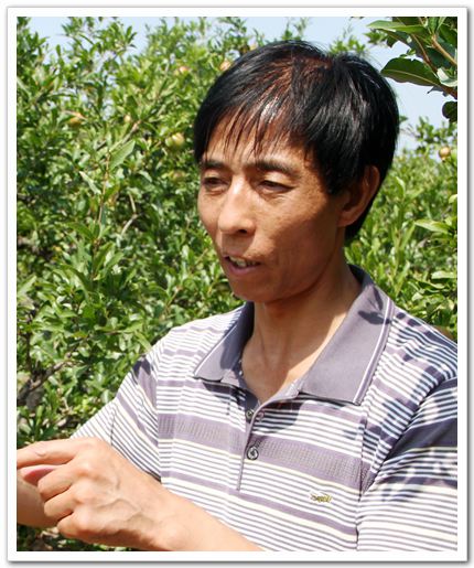 门立社