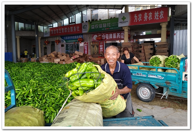 江苏东台：当好农产品销售“护航员”